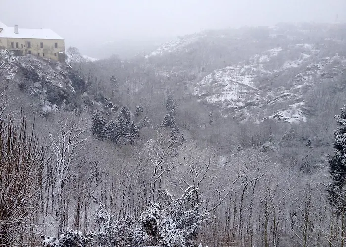 Phoenix ゲストハウス ズノイモ